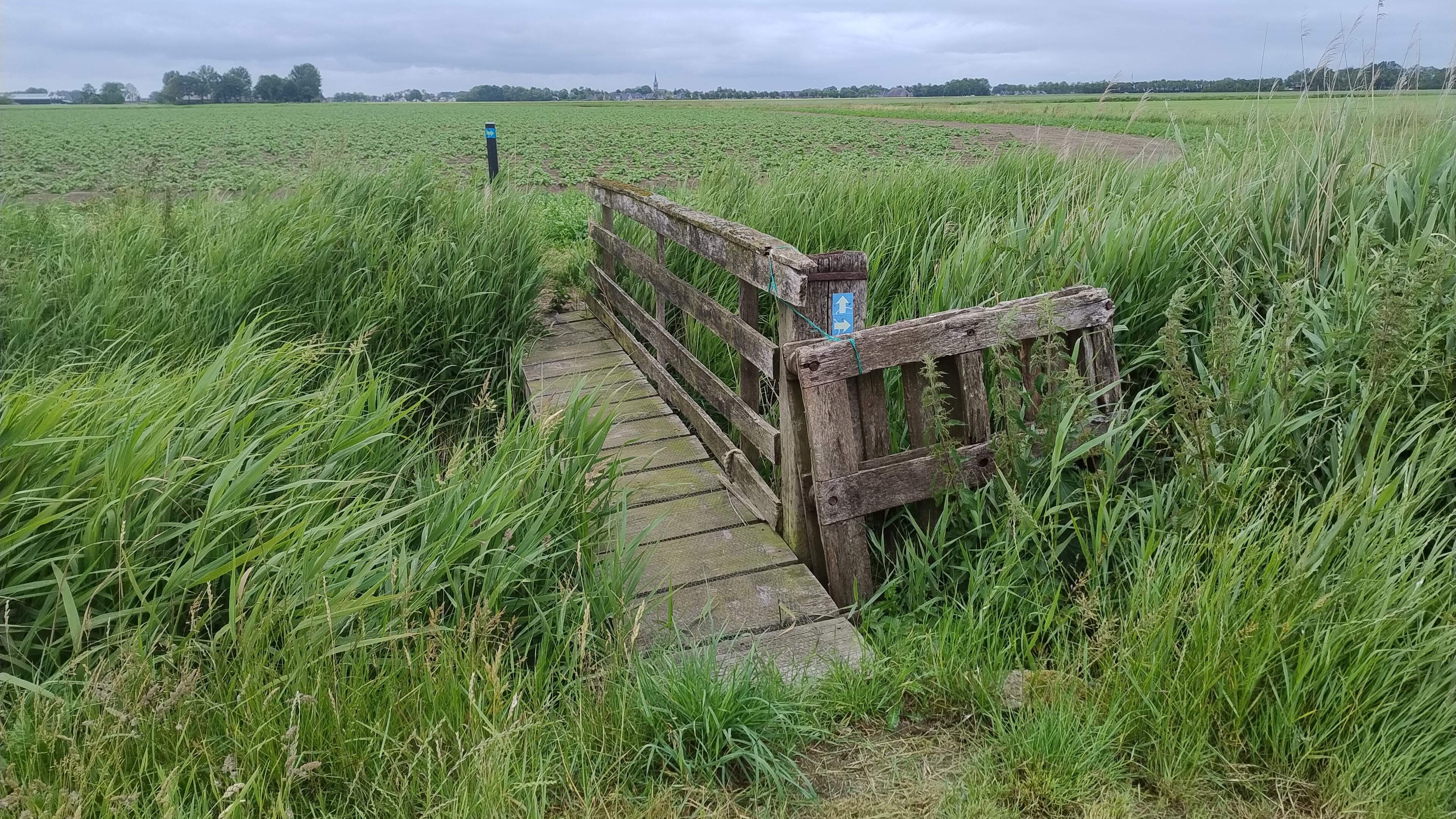 Van gejaagdheid naar het wad via het Ziltepad